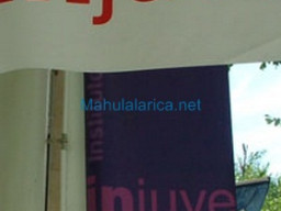 Fotos Noticias 2010